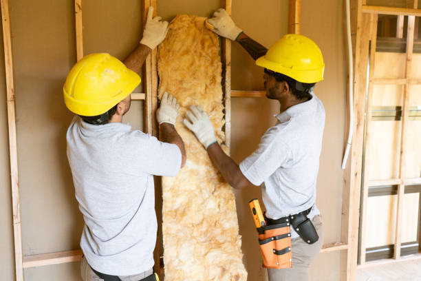 Best Blown-in Insulation  in Paramount Long Meadow, MD