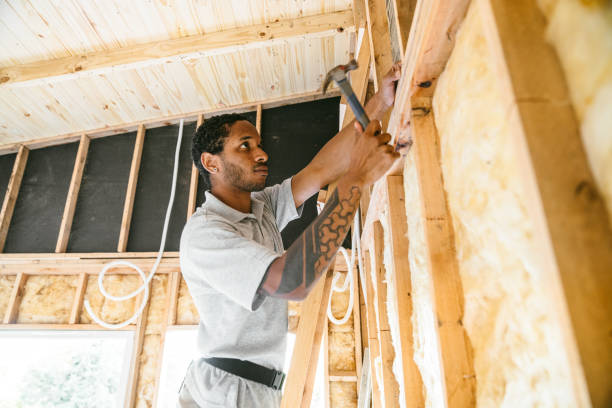 Best Insulation for New Construction  in Paramount Long Meadow, MD