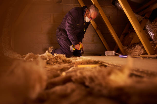 Best Insulation Replacement Services  in Paramount Long Meadow, MD
